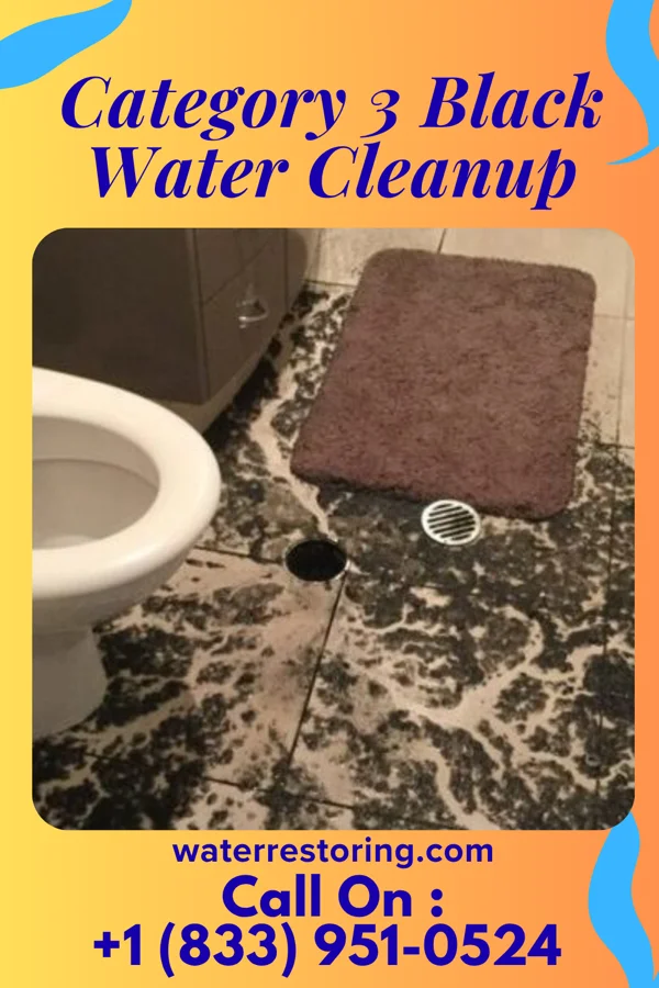 Category 3 Black Water Cleanup in Hampden, ND