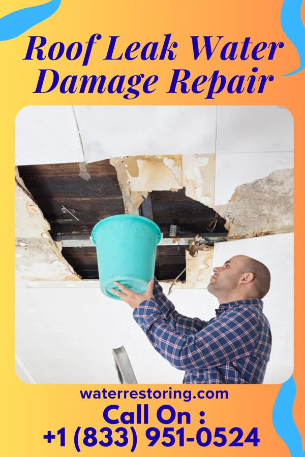 Roof Leak Water Damage Repair in Hampden, ND